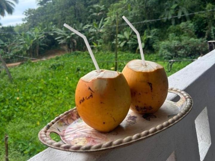 Sandaru Holiday Resort Weligama Eksteriør billede